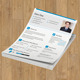 Resume Template-V04