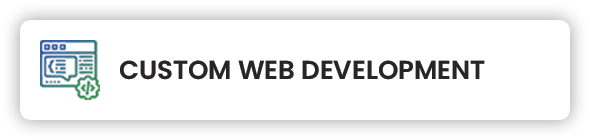 Custom Web Development