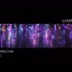 Glitter Purple Dust Curtain - Widescreen Background - VideoHive Item for Sale