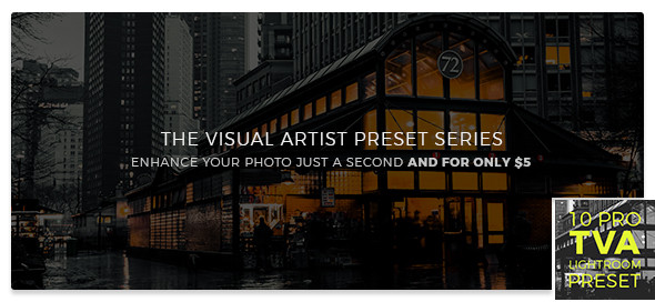 The Visual Artist Night Color Preset Series - 44