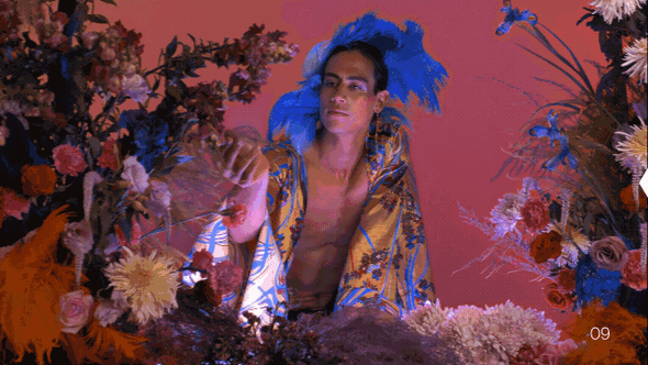 AE/PR模板-视频叠加镜头光晕炫光动画效果 Premium Overlays Light LeaksAE模板、PR模板