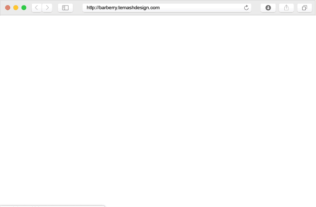 Woocommerce Themes