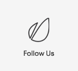 Follow us on Themeforest