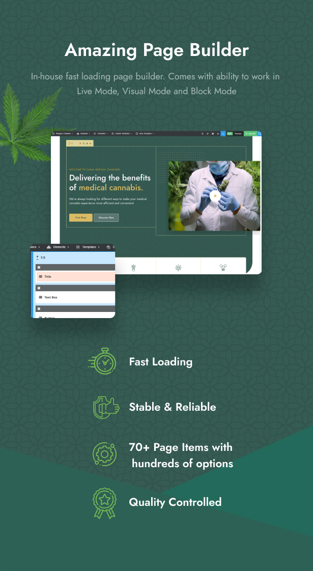 Cania - Cannabis & Marijuana Medical WordPress - 8