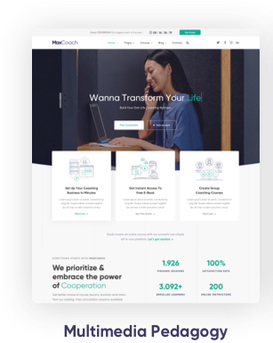 Woocommerce Themes