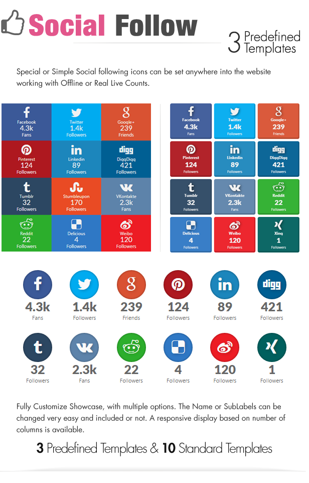 Social Share & Locker Pro Wordpress Plugin - 8