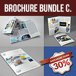 Grill Steak Restaurant Advertising Bundle - 30