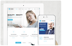 Skudo - Responsive Multipurpose WordPress Theme - 1