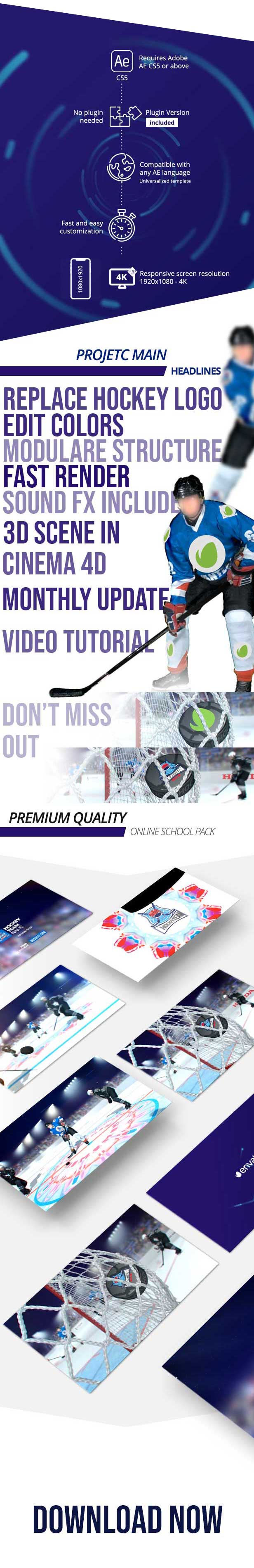 Hockey Logo Championship Big Pack - Project for After Effects (Videohive)