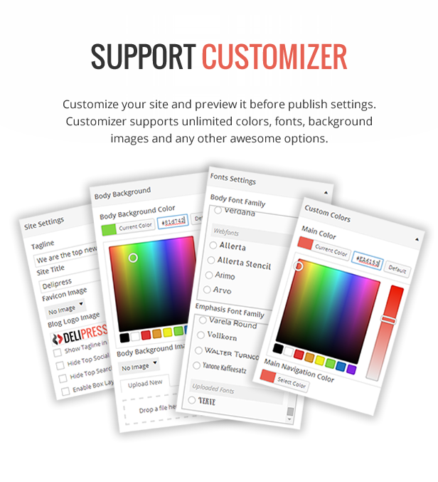 Customizer Support - DeliPress - Magazine and Review WordPress Theme