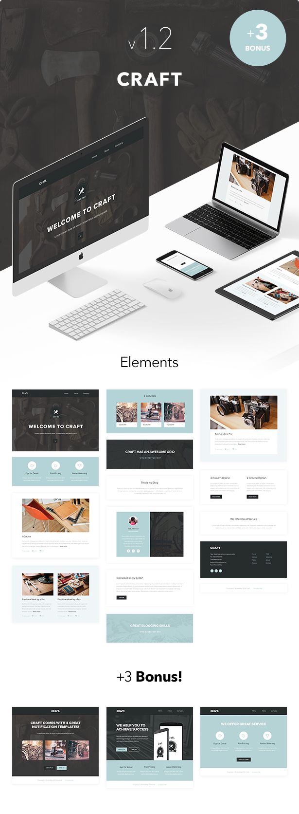 Craft - 4 Pack Templates + Themebuilder Access - 1