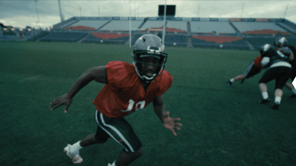 Premium Overlays Halftone - 3