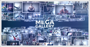 Mega Gallery