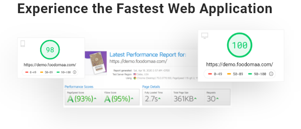 Experience the Fastest Web Application 100/100 Speed