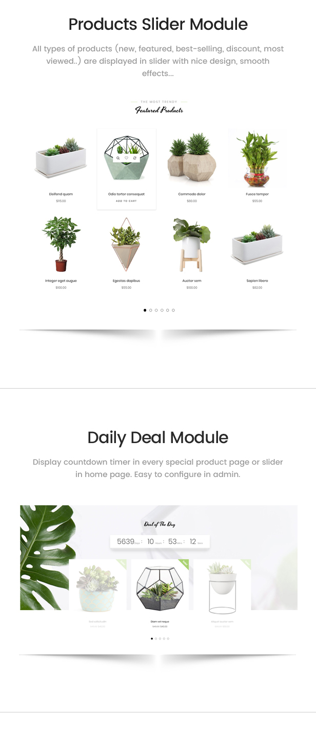 Plantmore - Responsive Theme for WooCommerce WordPress 6