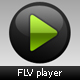 FLV Player (4 color schemes)