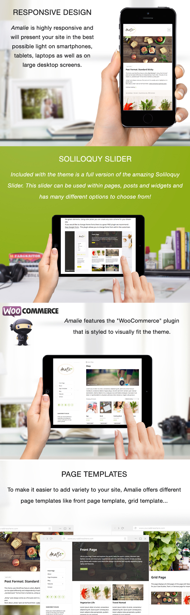 WordPress Theme