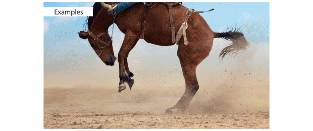 Photo Projector Pro - Professional Photo Animator - 3