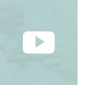 Wedding - WordPress Theme - 16
