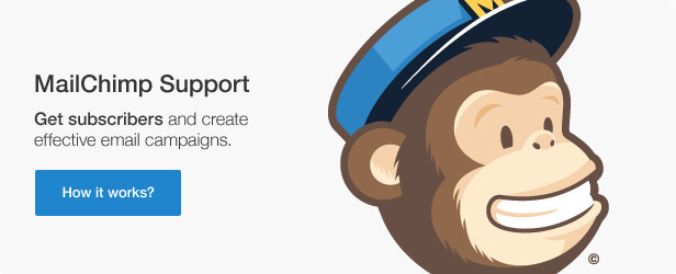 Mailchimp support