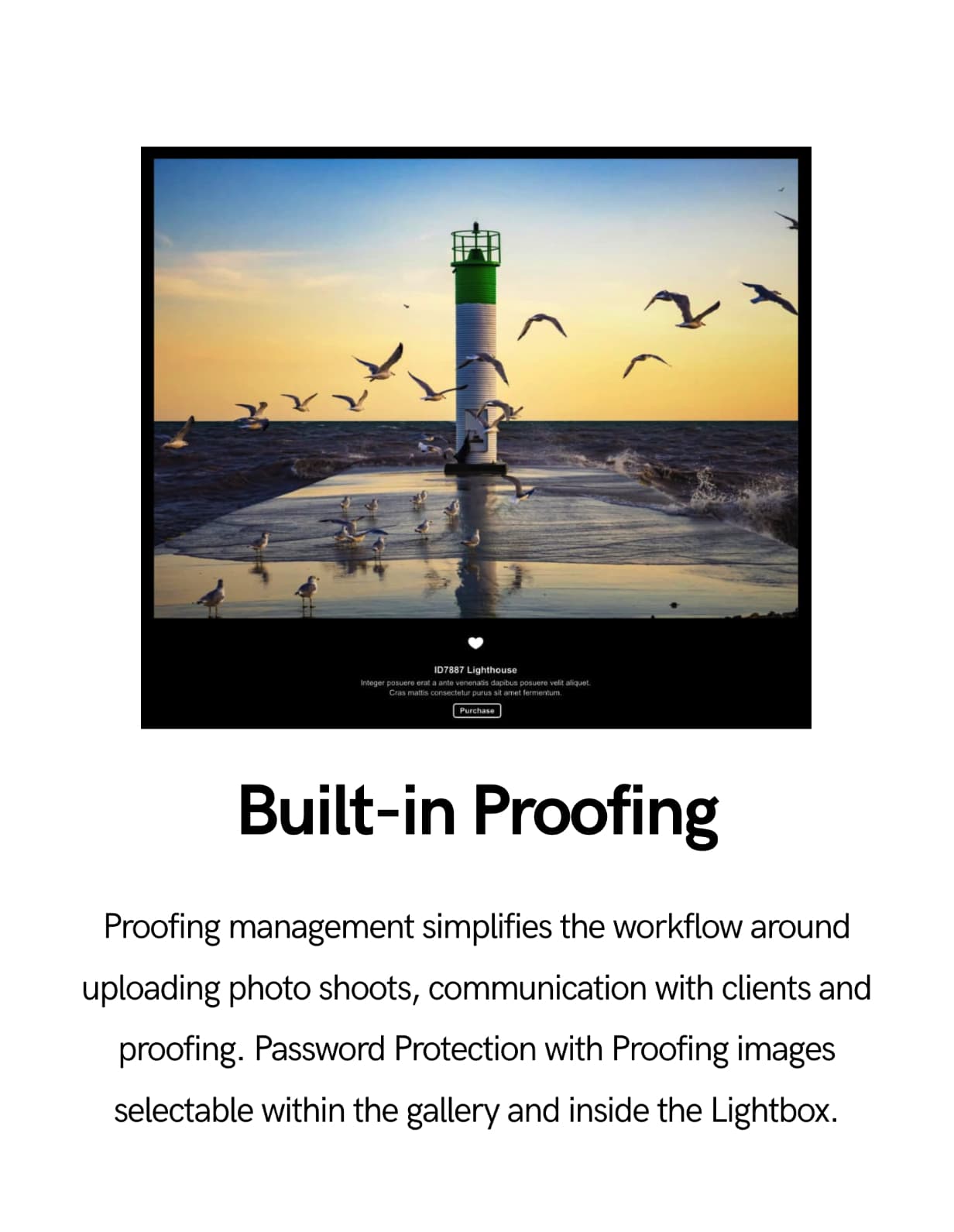 Superlens | Photography Theme for WordPress - 3