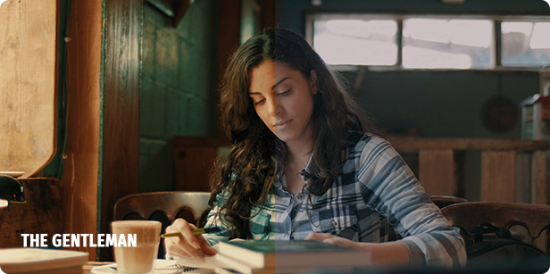 Hollywood LUT Color Grading Pack - 11