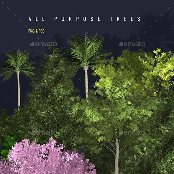 Professional Resume - Download