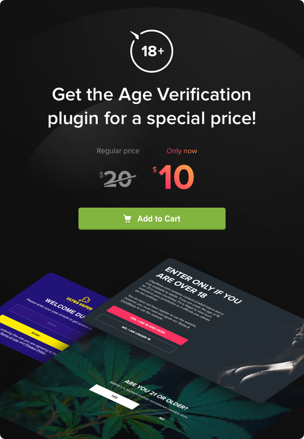 Age Verification plugin for WordPress - 5