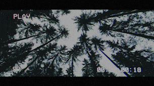 Montage Presets for Premiere Pro | Transitions, Titles, Effects, VHS, LUTs & More - 193