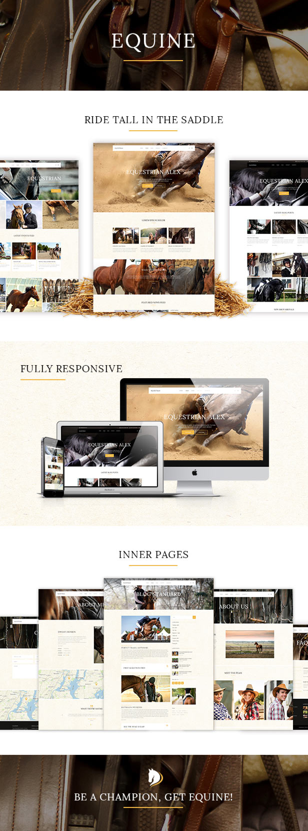 Equine An Equestrian And Horse Riding Club Theme By Mikado Themes