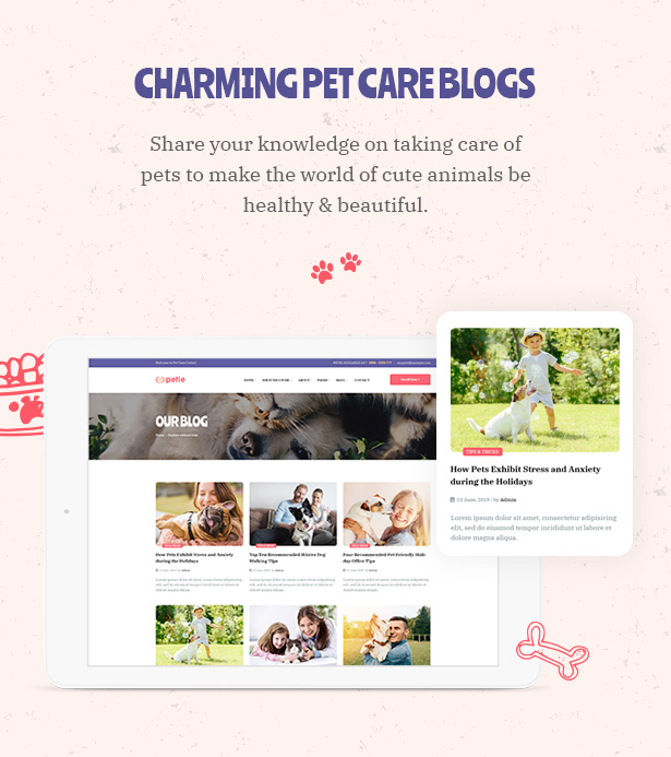 Petie - 宠物护理中心和兽医 WordPress 主题迷人的博客页面