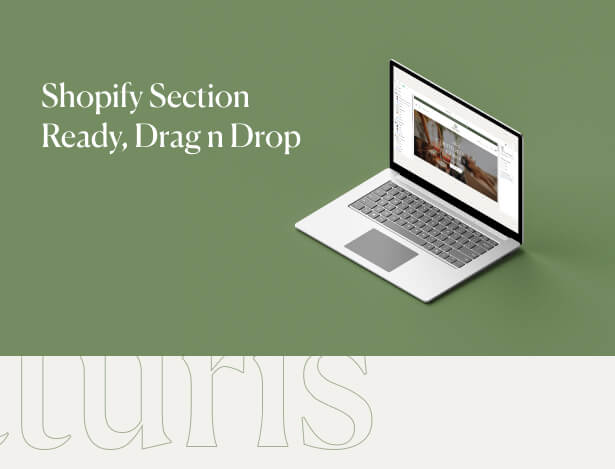  Shopify Section Ready, Drag n Drop