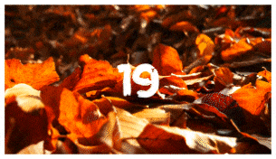 Brush Transitions - 19