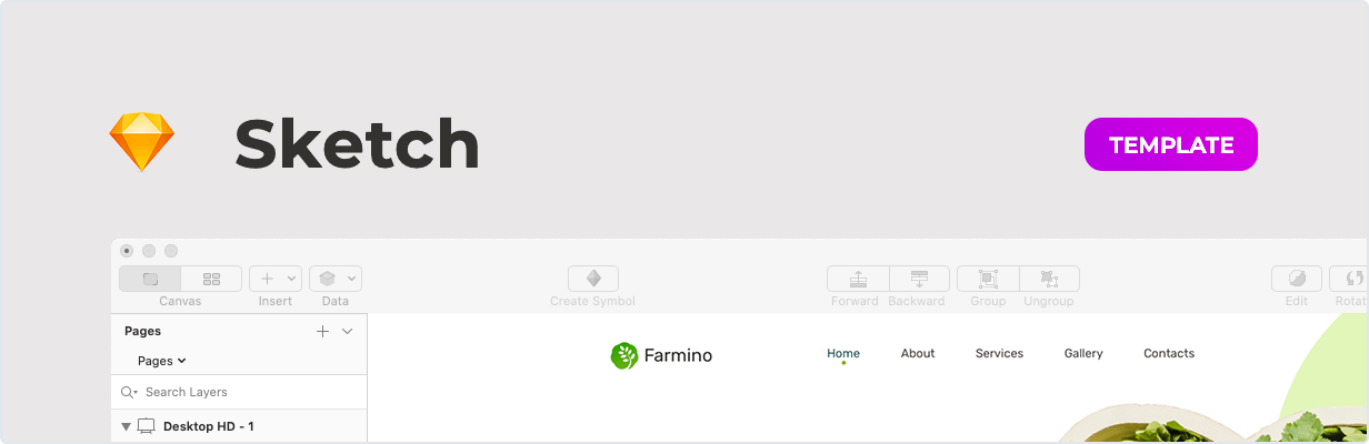 Farmino – Organic Food Template for Sketch