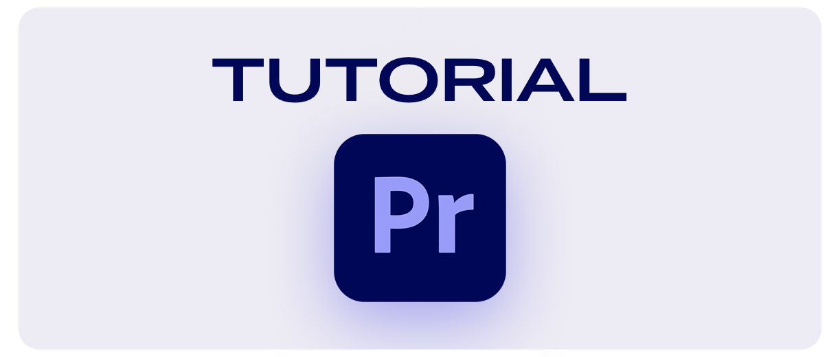 Paper Transitions | Big Pack - 1