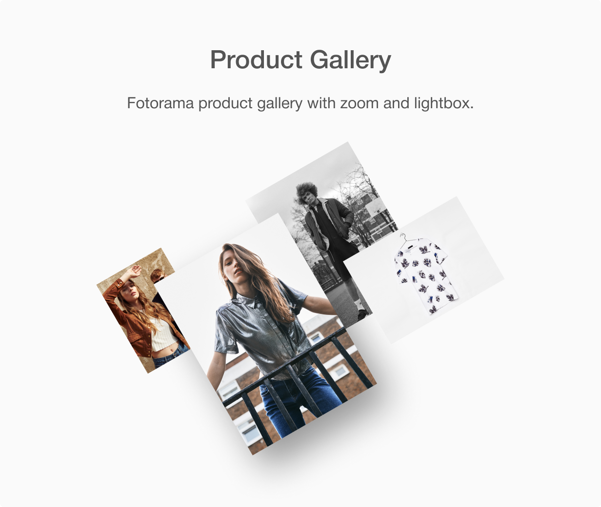 Shella Shopify Theme Nulled