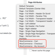 Page-templates-Woo