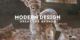 SpinTone Music on VideoHive