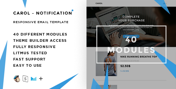 Carol – 100+  Responsive Modules + StampReady, MailChimp & CampaignMonitor compatible files - 1