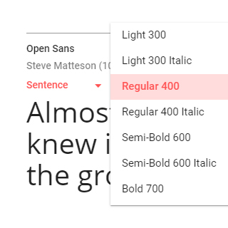 google fonts