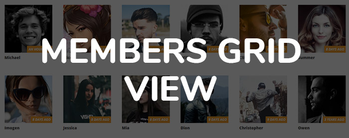 CommunityJunction - BuddyPress Membership Theme - 7