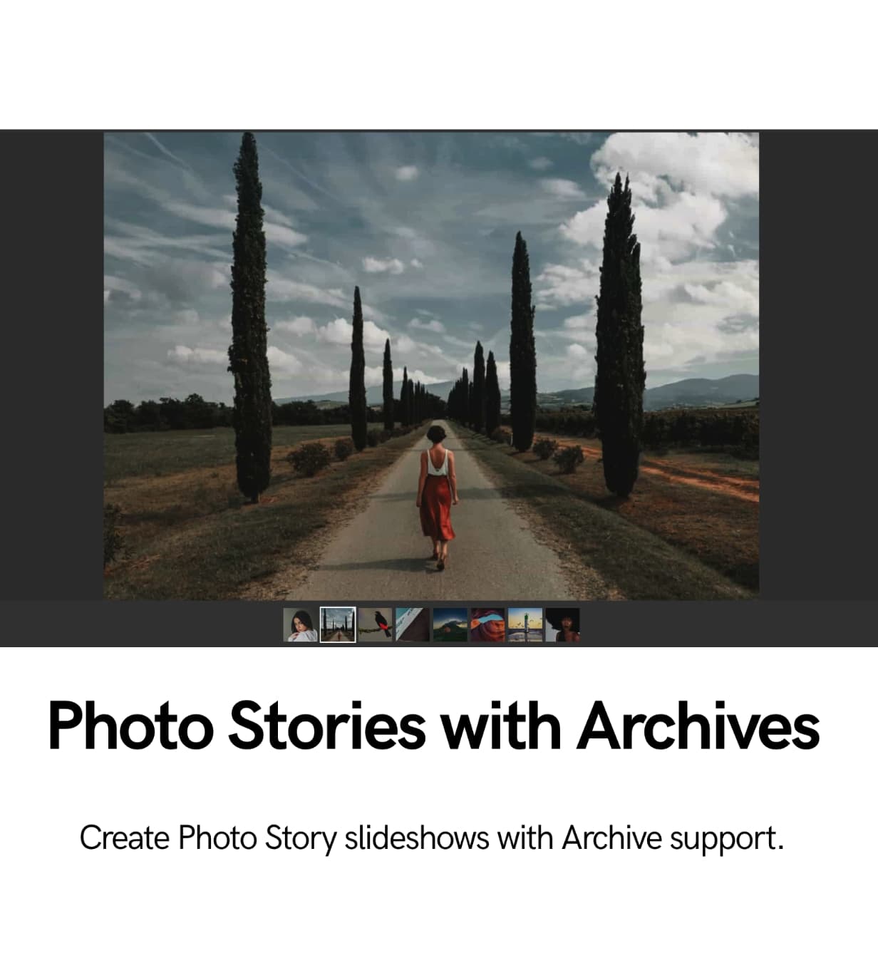 Superlens | Photography Theme for WordPress - 6