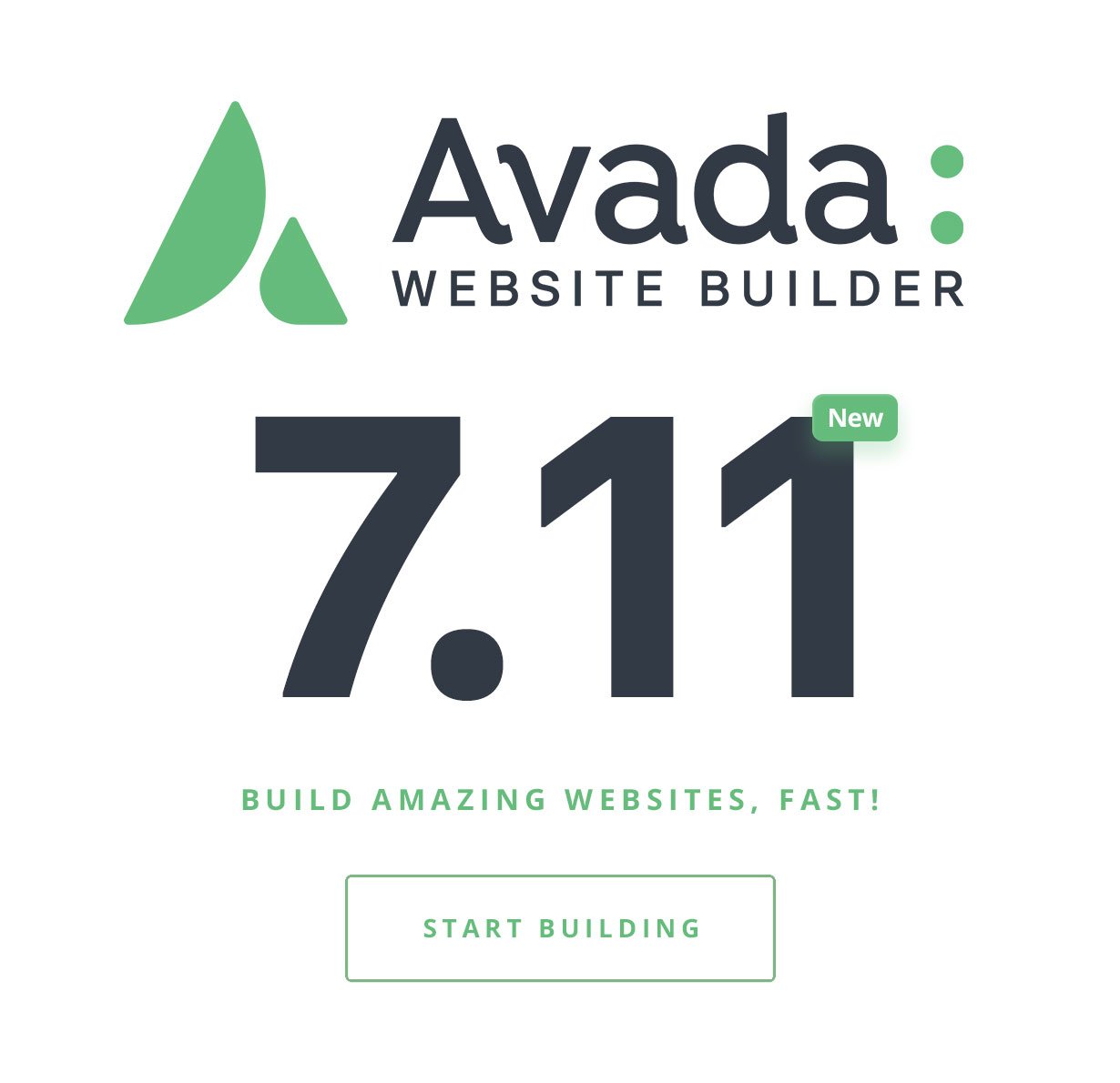 Avada  Website Builder For WordPress & eCommerce by ThemeFusion
