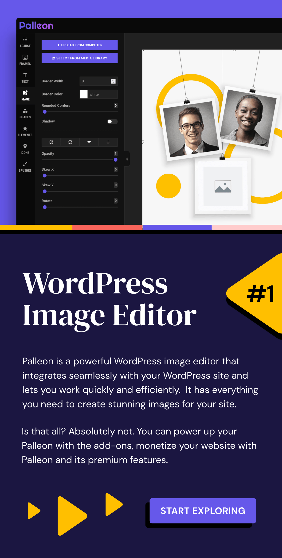 Editor de imagens WordPress Paleon
