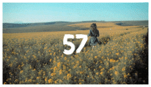 Brush Transitions - 57