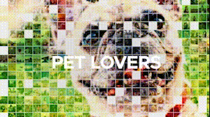 Mosaic Photo Reveal - 18