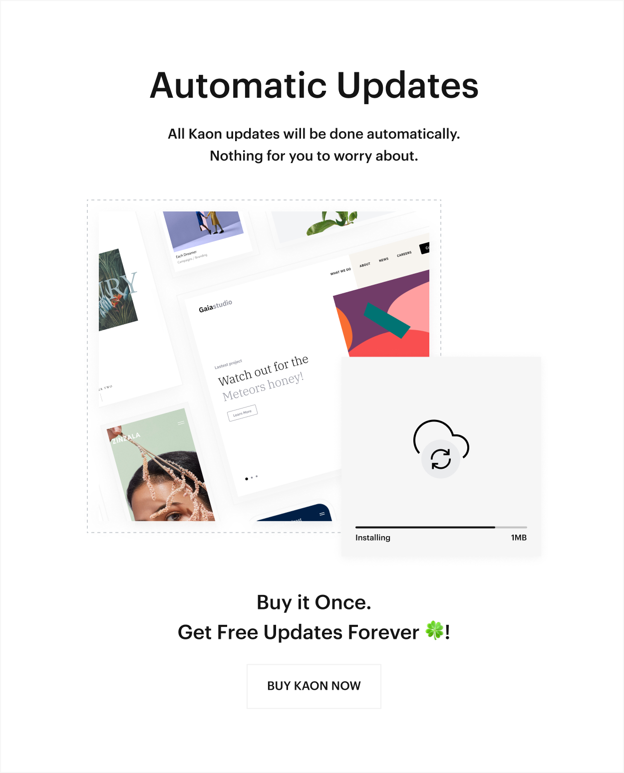 Kaon WordPress Theme - Automatic Updates