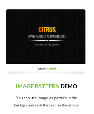 Citrus - One Page WordPress - 7