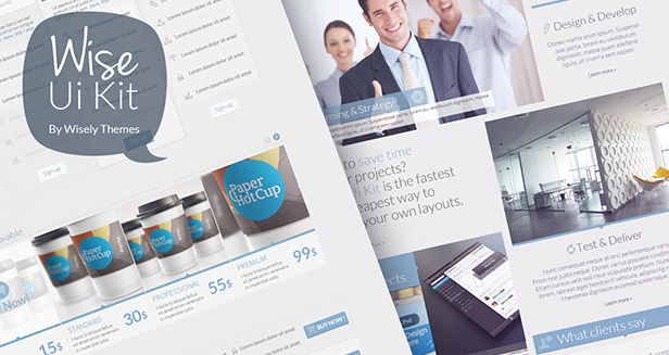 Wise ui kit