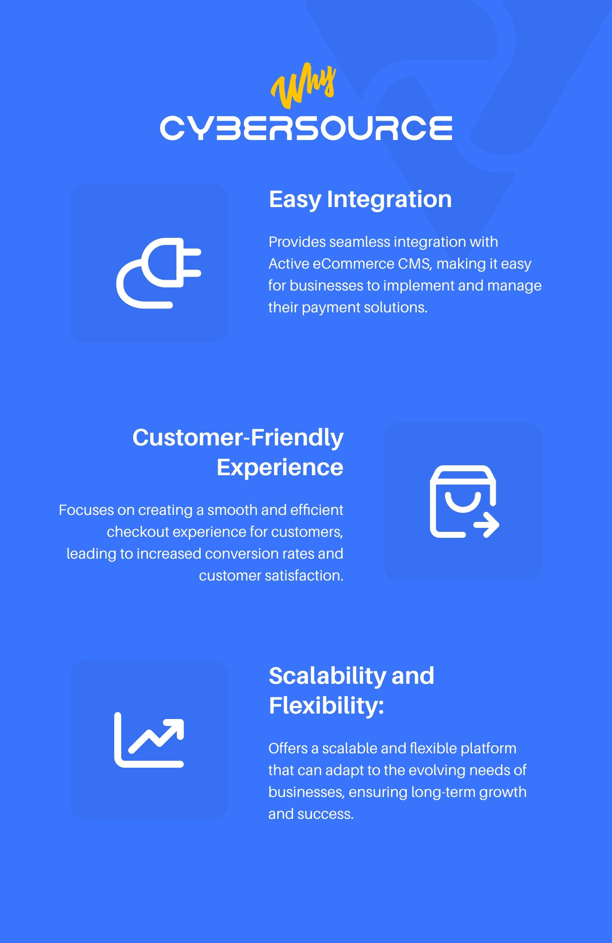 Active eCommerce Cybersource Add-on - 5